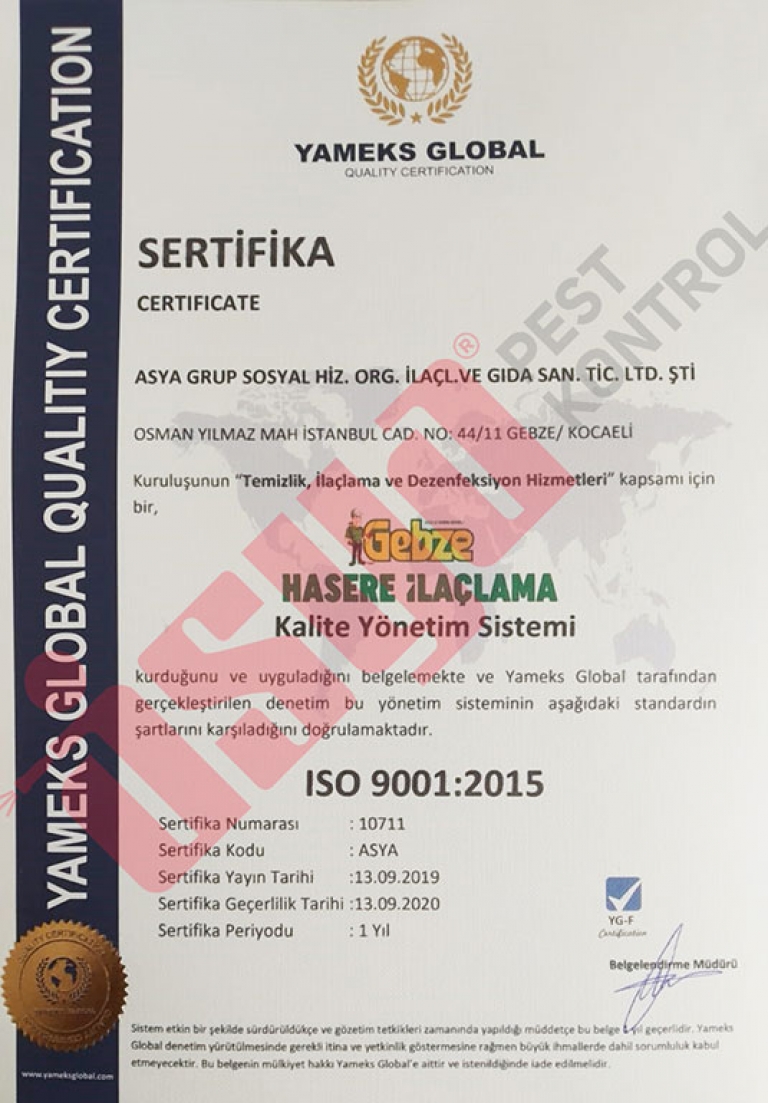 ISO 9001